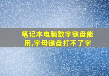 笔记本电脑数字键盘能用,字母键盘打不了字