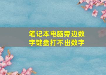 笔记本电脑旁边数字键盘打不出数字