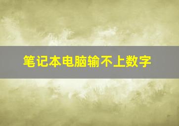 笔记本电脑输不上数字