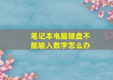 笔记本电脑键盘不能输入数字怎么办