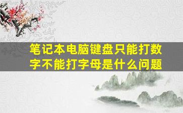 笔记本电脑键盘只能打数字不能打字母是什么问题