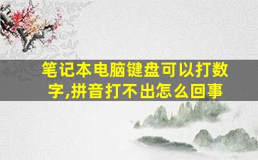 笔记本电脑键盘可以打数字,拼音打不出怎么回事