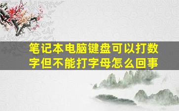 笔记本电脑键盘可以打数字但不能打字母怎么回事