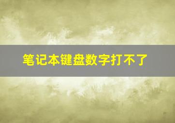 笔记本键盘数字打不了