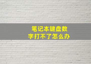 笔记本键盘数字打不了怎么办