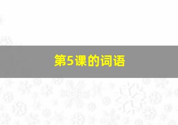 第5课的词语