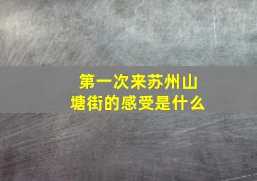 第一次来苏州山塘街的感受是什么