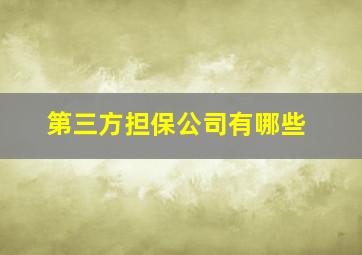 第三方担保公司有哪些