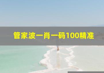 管家波一肖一码100精准