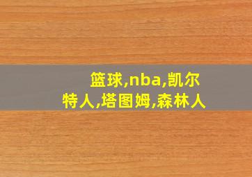 篮球,nba,凯尔特人,塔图姆,森林人