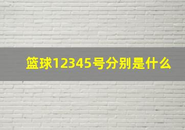 篮球12345号分别是什么