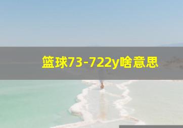 篮球73-722y啥意思