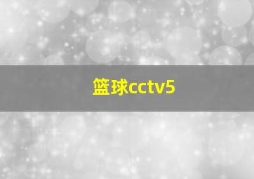 篮球cctv5