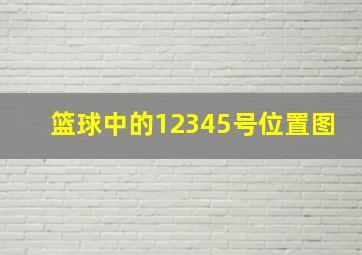 篮球中的12345号位置图