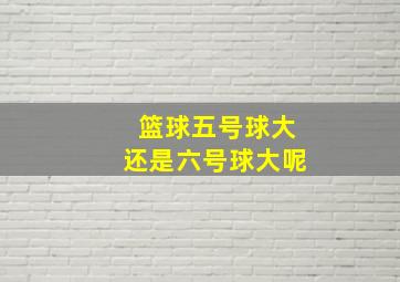 篮球五号球大还是六号球大呢