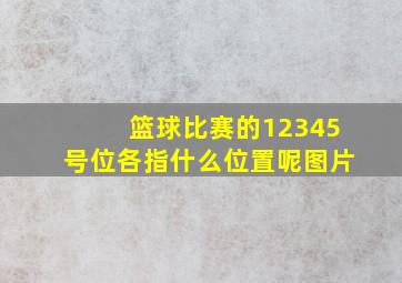 篮球比赛的12345号位各指什么位置呢图片