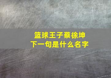 篮球王子蔡徐坤下一句是什么名字