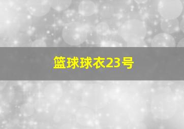 篮球球衣23号