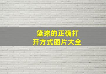 篮球的正确打开方式图片大全