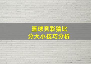 篮球竞彩猜比分大小技巧分析