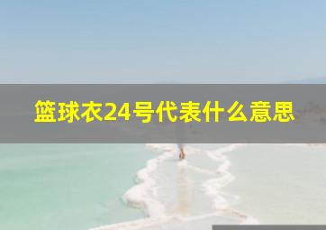 篮球衣24号代表什么意思