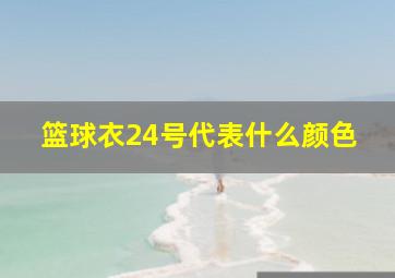 篮球衣24号代表什么颜色