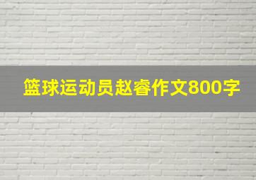 篮球运动员赵睿作文800字