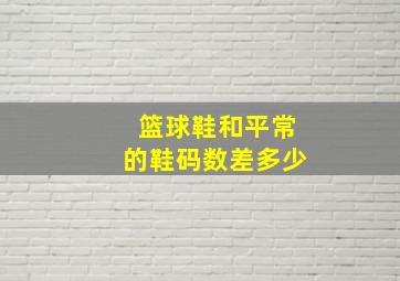 篮球鞋和平常的鞋码数差多少