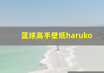 篮球高手壁纸haruko