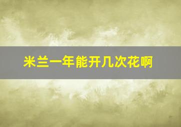 米兰一年能开几次花啊