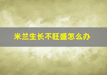 米兰生长不旺盛怎么办