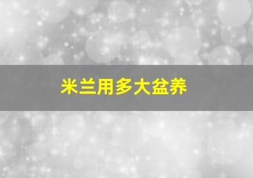 米兰用多大盆养