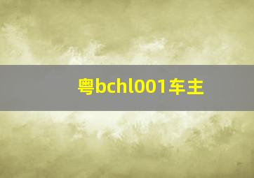 粤bchl001车主