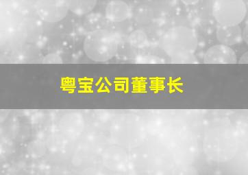 粤宝公司董事长