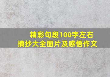 精彩句段100字左右摘抄大全图片及感悟作文