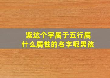 紫这个字属于五行属什么属性的名字呢男孩