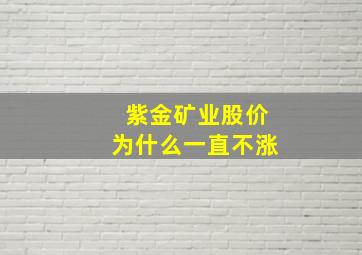 紫金矿业股价为什么一直不涨