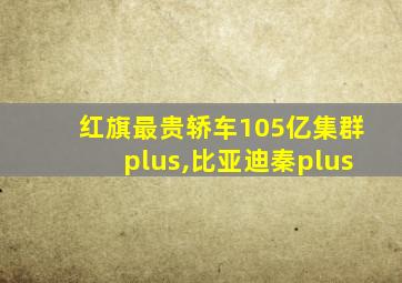 红旗最贵轿车105亿集群plus,比亚迪秦plus