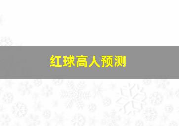 红球高人预测