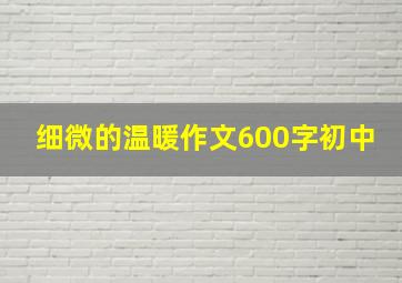 细微的温暖作文600字初中