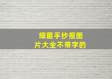 细菌手抄报图片大全不带字的