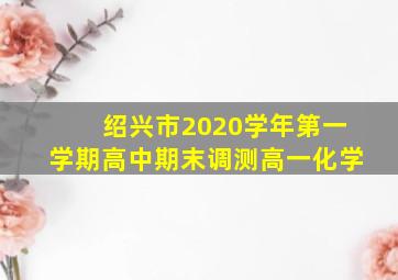 绍兴市2020学年第一学期高中期末调测高一化学