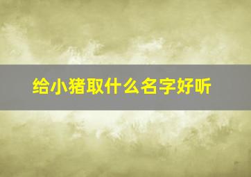 给小猪取什么名字好听