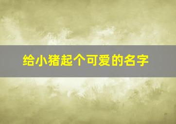 给小猪起个可爱的名字