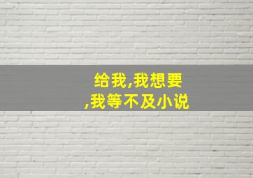 给我,我想要,我等不及小说