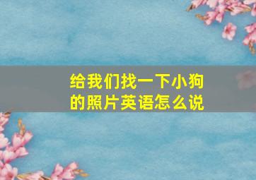 给我们找一下小狗的照片英语怎么说