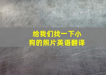 给我们找一下小狗的照片英语翻译