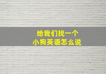 给我们找一个小狗英语怎么说