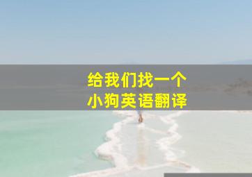 给我们找一个小狗英语翻译