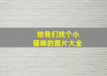 给我们找个小猫咪的图片大全